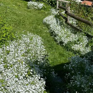 Huguette 18m2 Courchevel